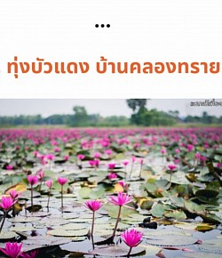 เหมารถท่องเที่ยวทุ่งบัวแดง บ้านคลองทราย